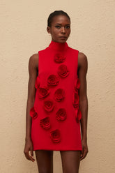 Ysandre Red Rose Appliqué Mini Dress