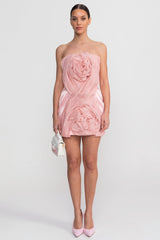 Strapless Mini Dress With Draped Bodice And 3D Rose Appliqués - Blush Pink